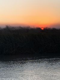 Scenic view of field against sky during sunset