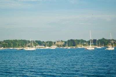 Sailboats sailing in sea against sky