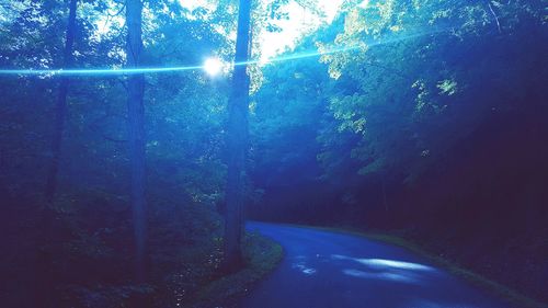 Empty road along trees