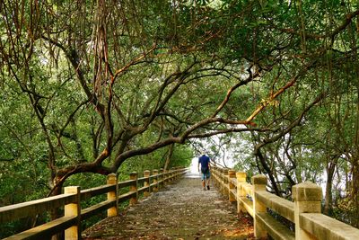 People walking on footpath