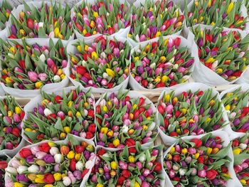 High angle view of vegetables for sale in market