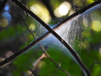 Close-up of water drops on leaf