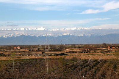 Scenic view of field against sky