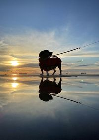 Reflection of man on beach against sky during sunset