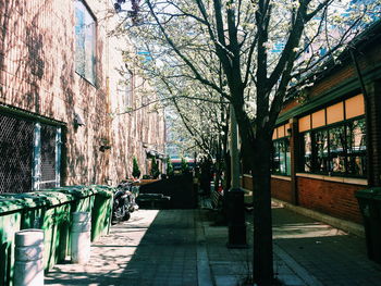 Walkway leading to footpath
