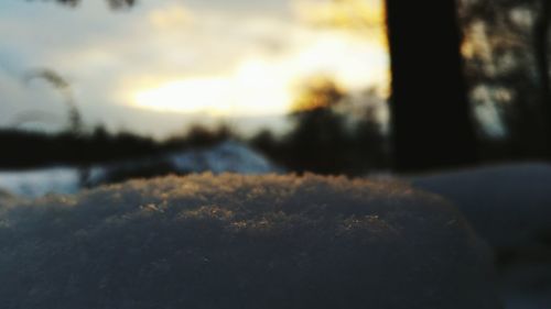 Close-up of snow against sky during sunset