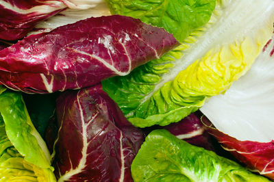 Close-up of vegetables