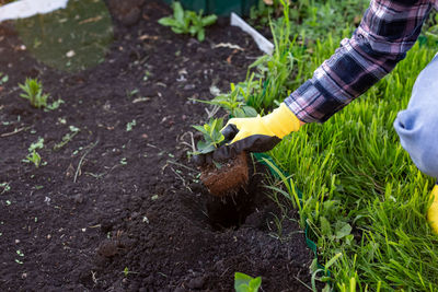 Man working on plant in land