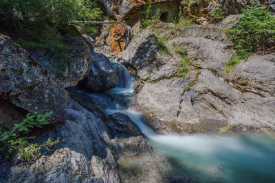 Scenic view of waterfall in forest