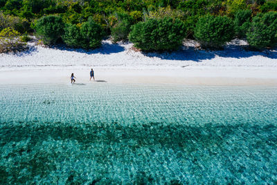 Drone view of couple at beach on sunny day