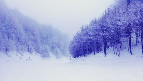 Scenic view of snow covered mountain