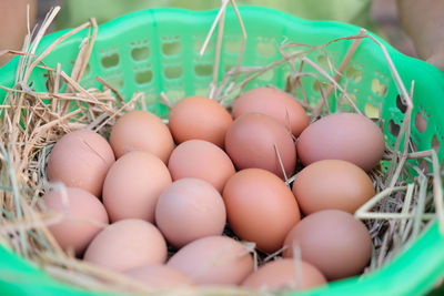 Close-up of eggs in basket