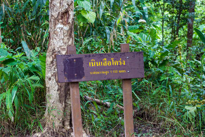 Information sign on tree trunk in forest