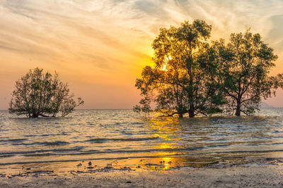 Scenic view of sea against sky during sunset