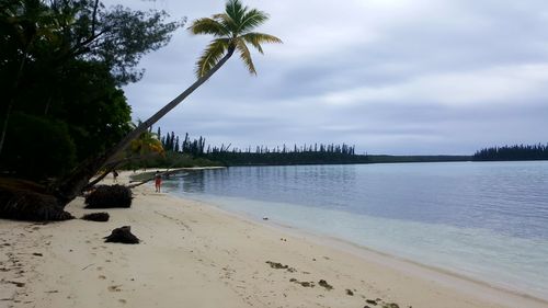 Scenic view of beach against sky