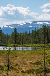 Scenic view of trees by lake against sky