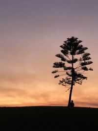 Silhouette tree on field against sky during sunset