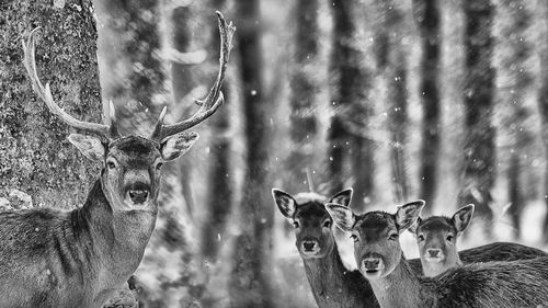 Close-up of spider web on outdoors