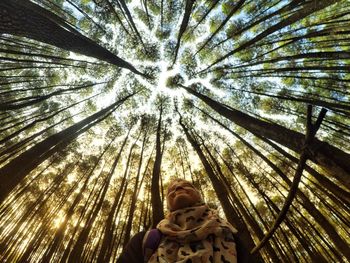 Low angle view of woman on tree