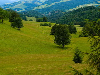 Scenic view of rural landscape