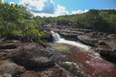 waterfall