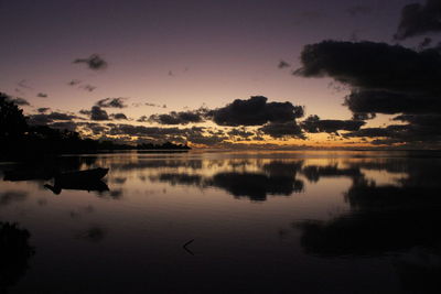 Reflection of trees in calm lake