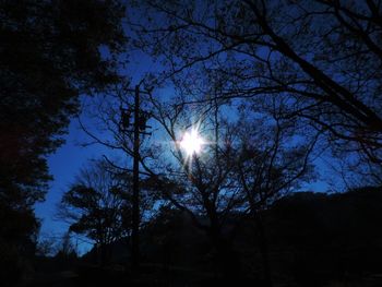 Low angle view of bare trees against sky