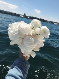 Close-up of cropped hand holding white roses by river