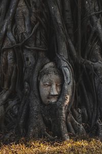 Statue of buddha against trees