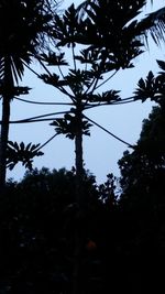 Silhouette trees against sky during sunset