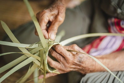 Cropped hand of woman holding plant