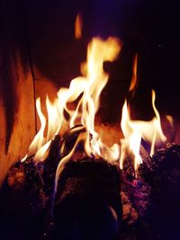 Close-up of bonfire at night