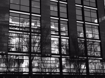 Reflection of tree in office building