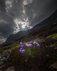 Scenic view of purple mountains against sky