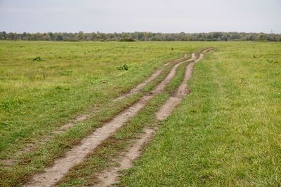 Scenic view of agricultural field against sky