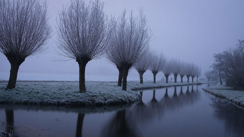 Bare trees on snow covered landscape against sky