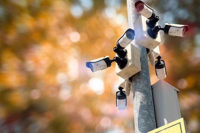 Close-up of padlocks hanging on pole