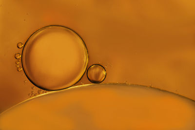Close-up of water drop