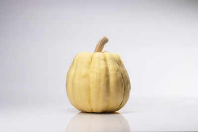 Close-up of pumpkin against white background