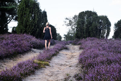 Rear view of young woman walking by lavender field against sky