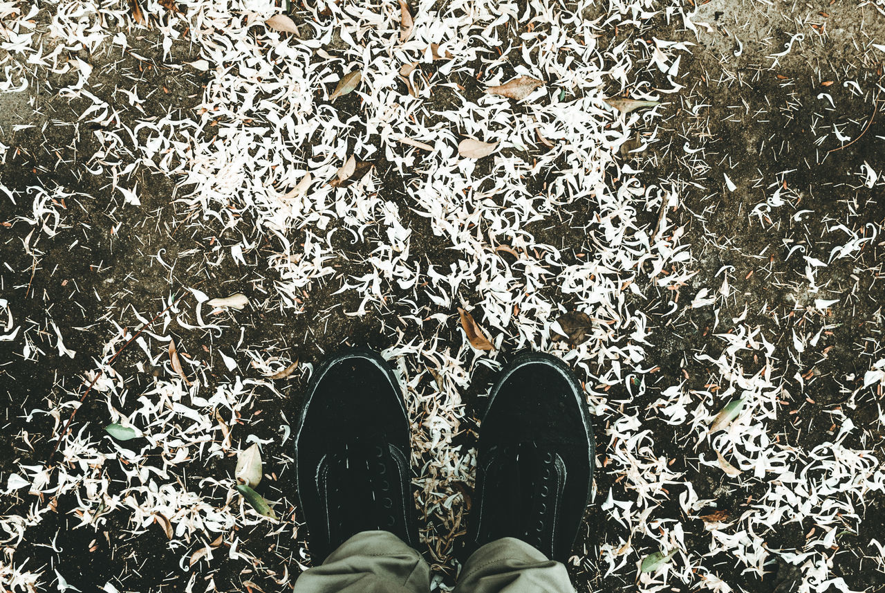 LOW SECTION OF MAN STANDING ON CARPET