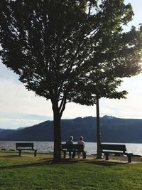 Rear view of man sitting on bench in park