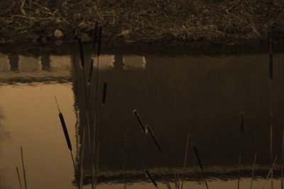 Wooden posts in lake