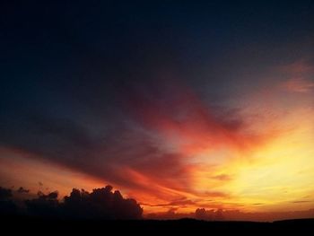 Silhouette of trees at sunset