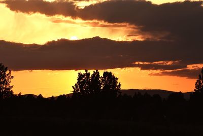 Silhouette trees on landscape against sky during sunset