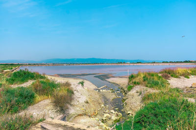 Scenic view of beach against blue sky