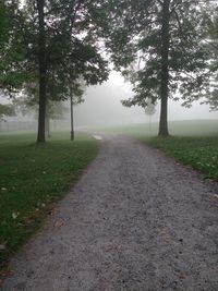 Footpath by road amidst trees