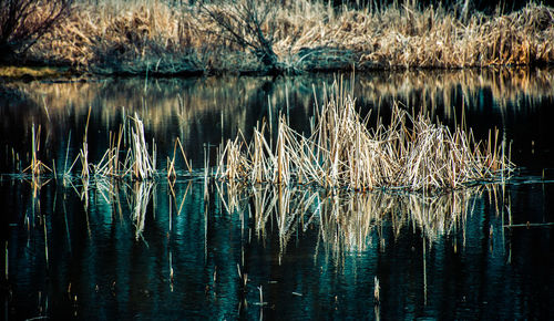 Scenic view of lake against sky