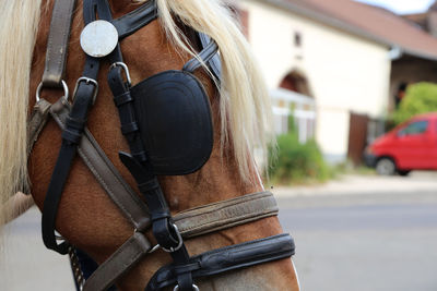 Close-up of a horse cart