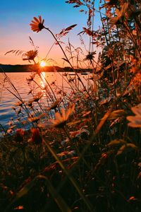 Scenic view of lake against orange sky